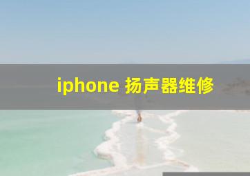 iphone 扬声器维修